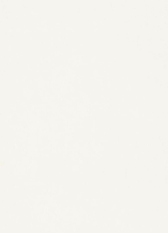 BIELA HLADKA W960 SM