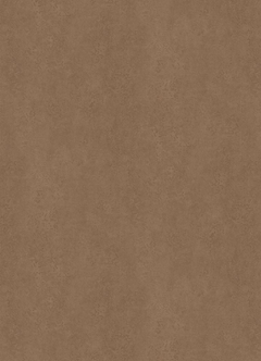 COBRA BRONZOVA F323 ST20