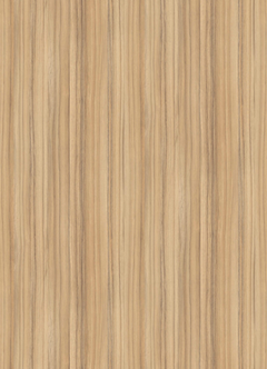 COCO BOLO H3012 ST22