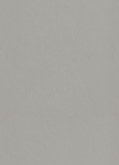 KOV STRIEBORNOSEDY BRUS. F765 ST20