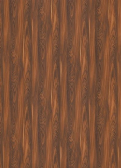 S016 YOSEMITE ARERA S016 YS:YS